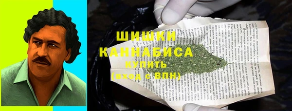 гашик Арсеньев
