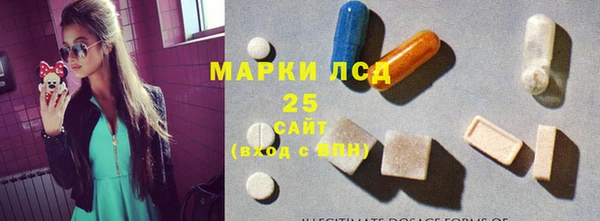 гашик Арсеньев