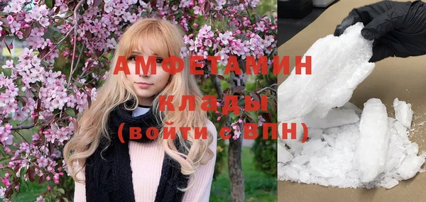 стаф Аркадак