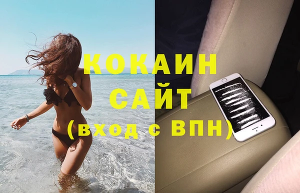 стаф Аркадак