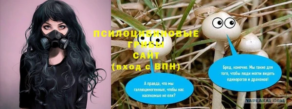 соль ск Балахна