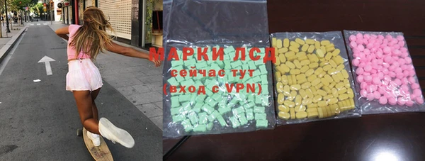 стаф Аркадак
